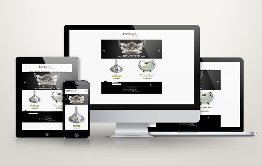 KARA silver web site tasarımı ve yönetim paneli yazılımı Denajans